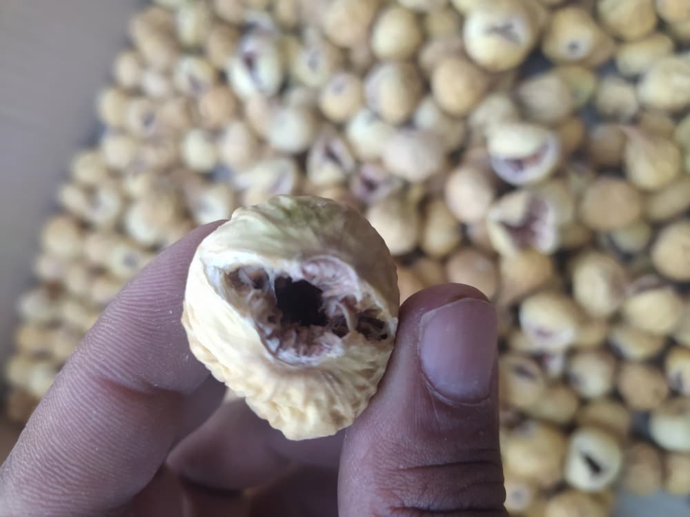 تصویر 3 از انجیر خشک شیراز انتخاب استثنایی